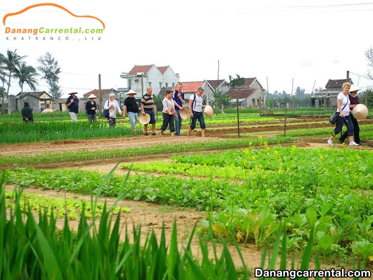 Tra Que vegetable village – A famous tourist destination of Hoi An