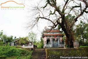 Discover the beauty of Phuoc Tich ancient village of Hue