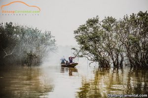 Ru Cha mangrove forest Hue