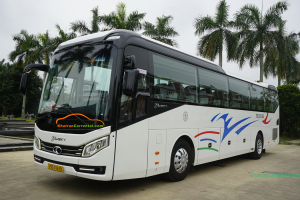 danang car rental with driver